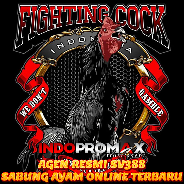 SABUNG AYAM ONLINE