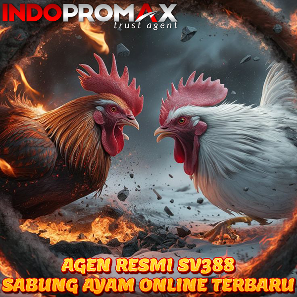 SV388 > Daftar Link Agen Resmi Live Streaming Sabung Ayam Online 24 Jam