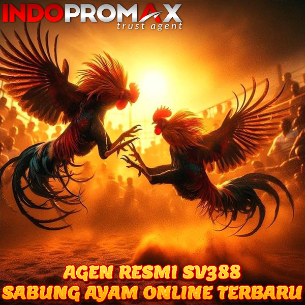 SV388: Situs Streaming Sabung Ayam Wala Meron Online Terbaru
